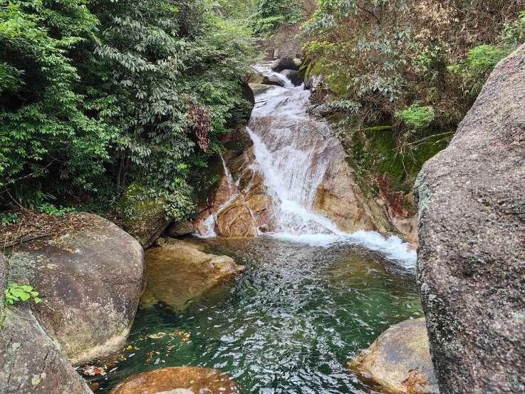 救援甜蜜熊